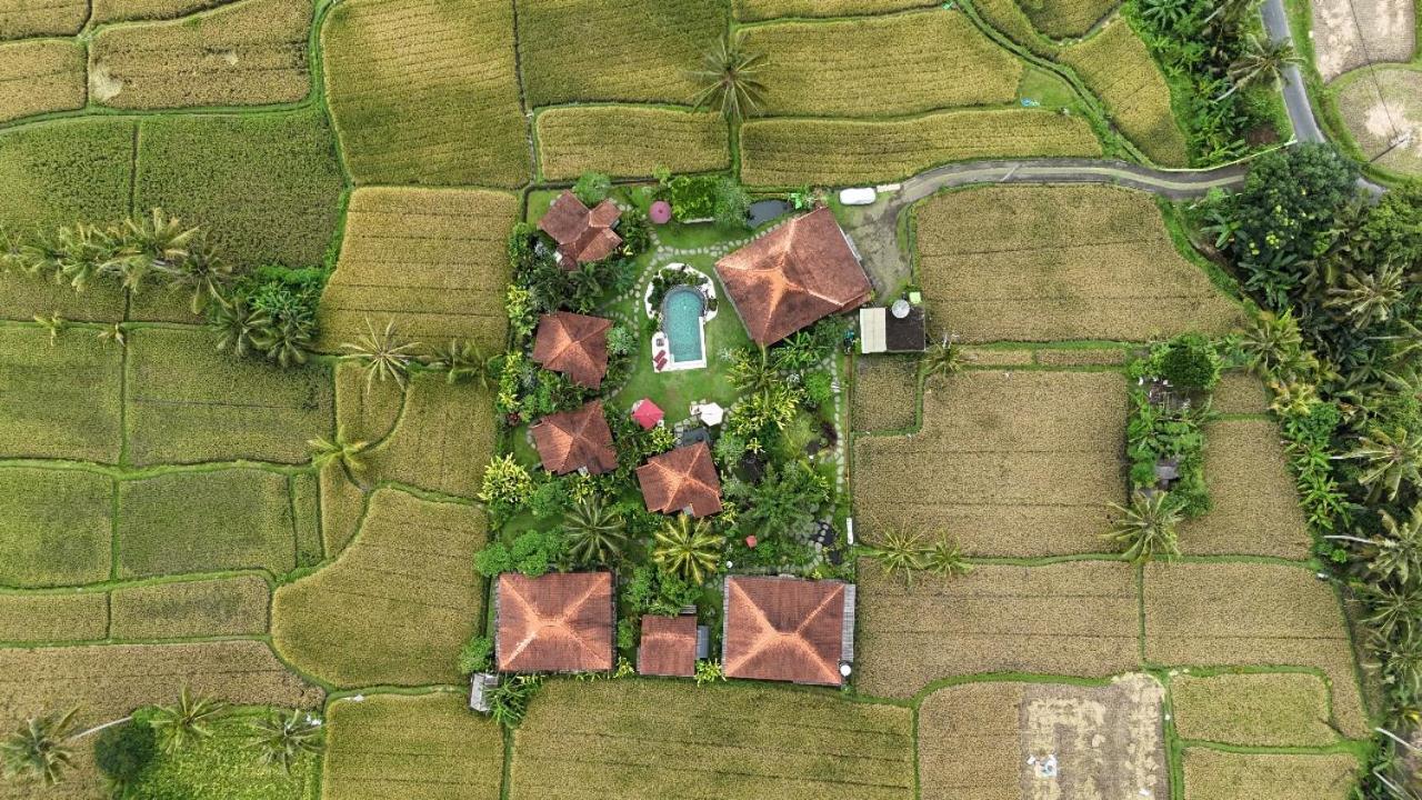 Bali Sawah Indah Hotel Ubud Buitenkant foto