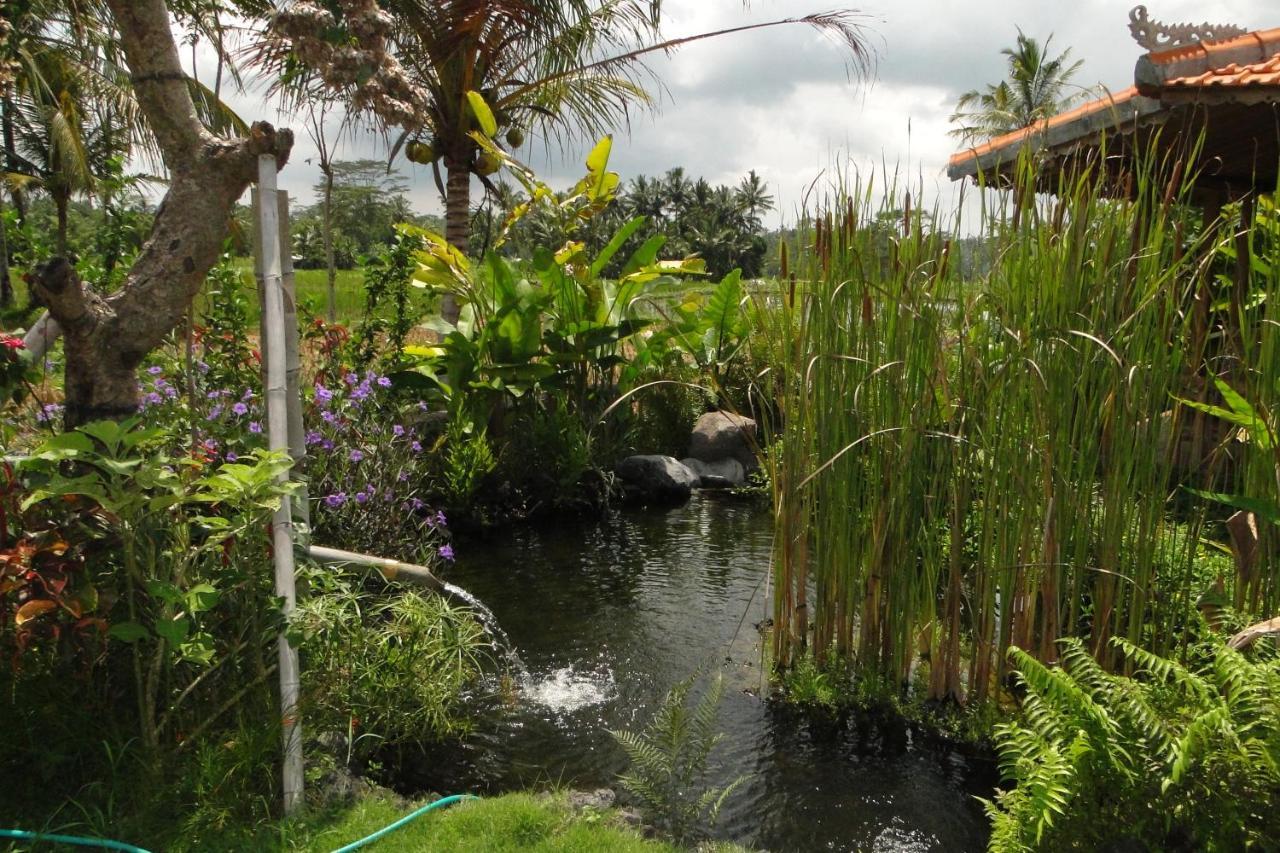 Bali Sawah Indah Hotel Ubud Buitenkant foto