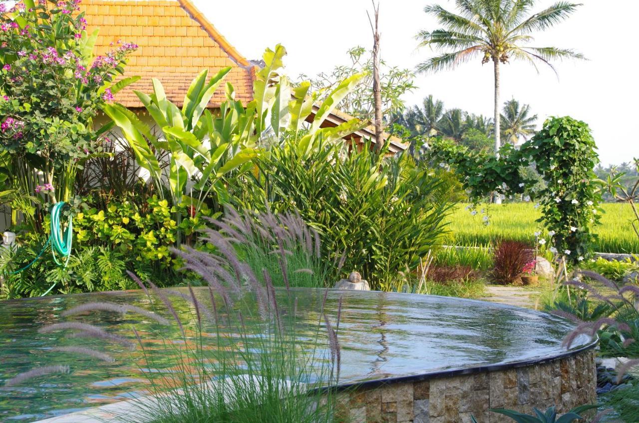 Bali Sawah Indah Hotel Ubud Buitenkant foto